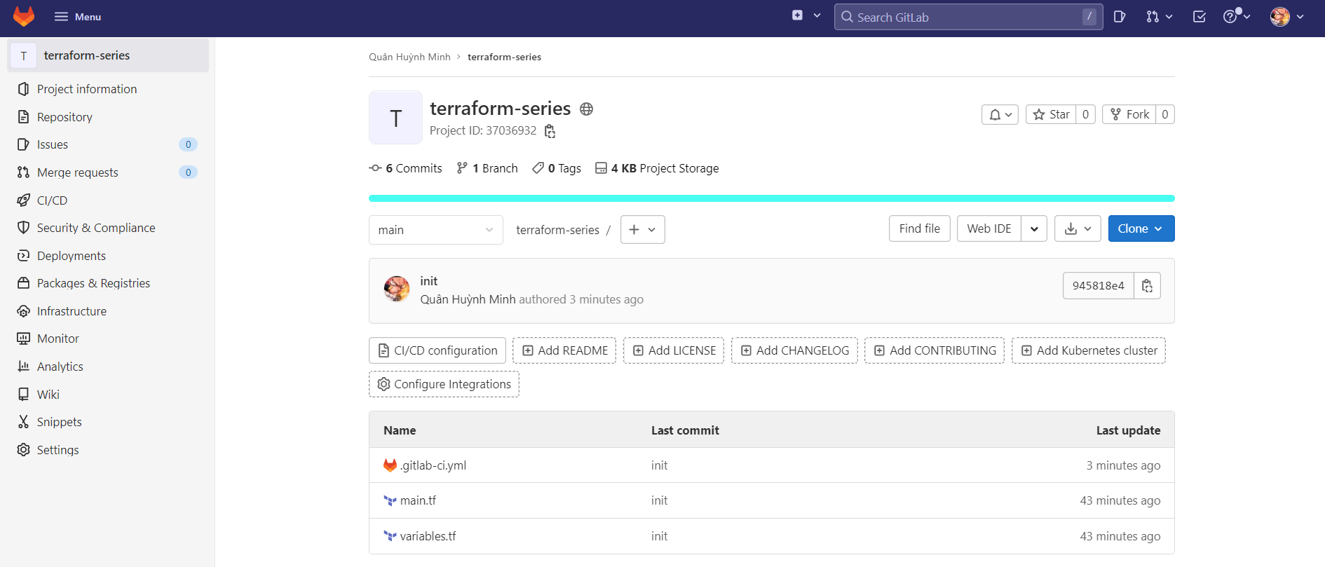 The repository files